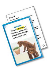 Vocabulary in Context Cards Grade K