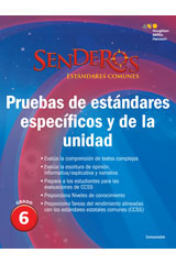 Benchmark and Unit Tests Consumable Grade 6