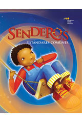 Teacher's Guide Below-Level Strand Set Grade 2