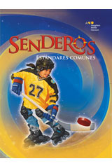 Teacher's Guide Below-Level Strand Set Grade 5
