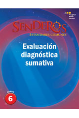 Comprehensive Screening Assessment Grade 6