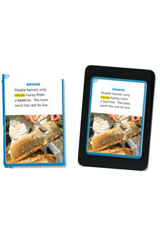 Vocabulary In Context Cards Grade K