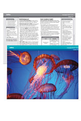 CC Language Support Cards Grade 6