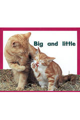 Individual Student Edition Magenta (Level 2) Big and Little